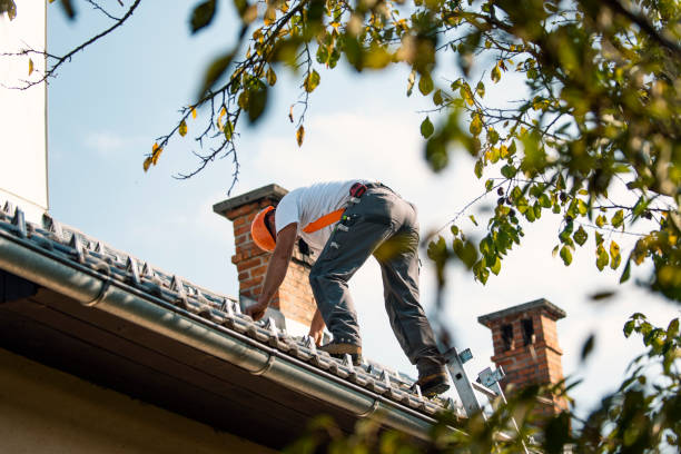 Best Metal Roofing Contractor  in Grandview Plaza, KS